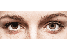 Bruine contactlenzen - TopVue Color (2 kleurlenzen)