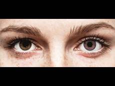 FreshLook ColorBlends Amethyst - zonder sterkte (2 lenzen)