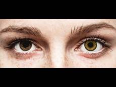 Bruine Dark Hazel lenzen - SofLens Natural Colors - met sterkte (2 kleurlenzen)
