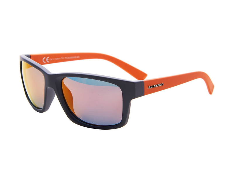 Blizzard POLSC602 055