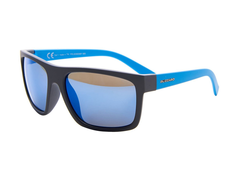 Blizzard POLSC603 081