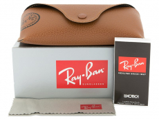 Zonnebril Ray-Ban RB4202 - 6069/71 
