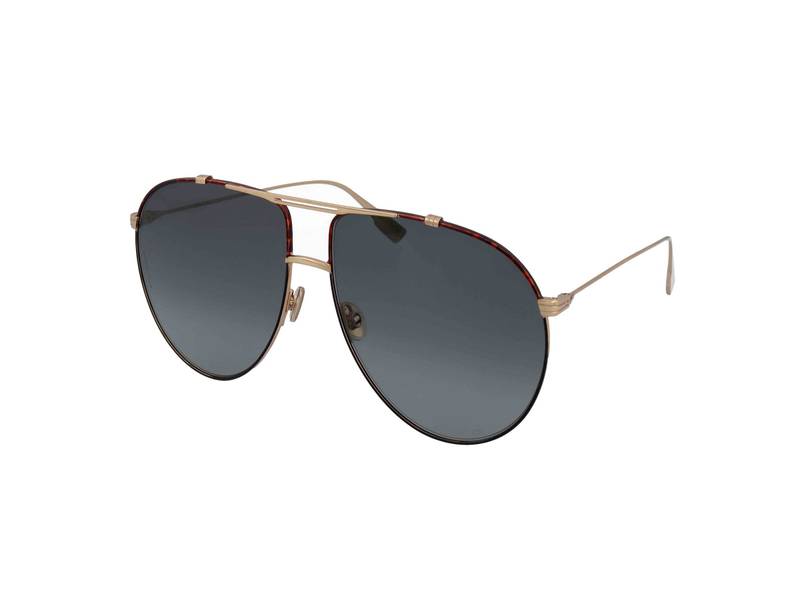 Christian Dior Diormonsieur1 XWY/1I
